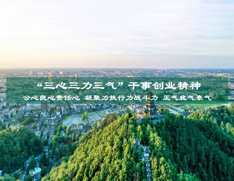 都江堰投資發(fā)展集團(tuán)有限公司